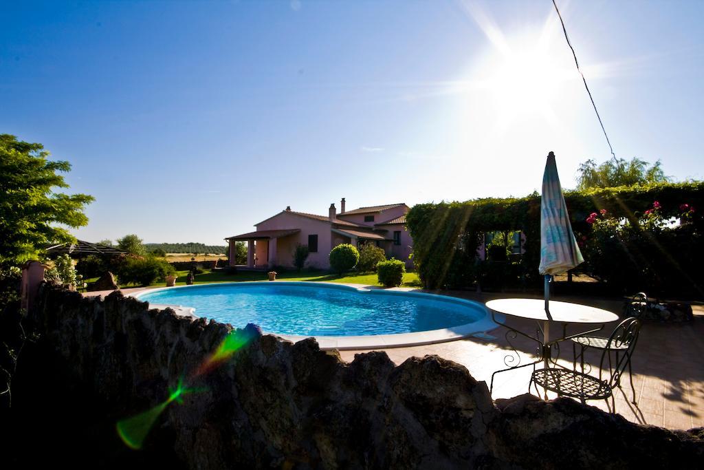 Agriturismo Il Grillo Parlante ปีติญาโน ภายนอก รูปภาพ
