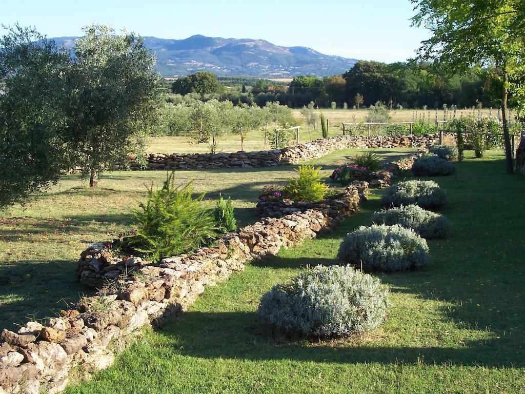 Agriturismo Il Grillo Parlante ปีติญาโน ภายนอก รูปภาพ