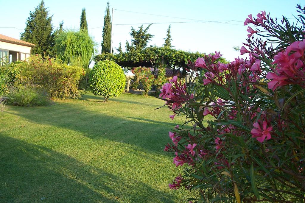 Agriturismo Il Grillo Parlante ปีติญาโน ภายนอก รูปภาพ
