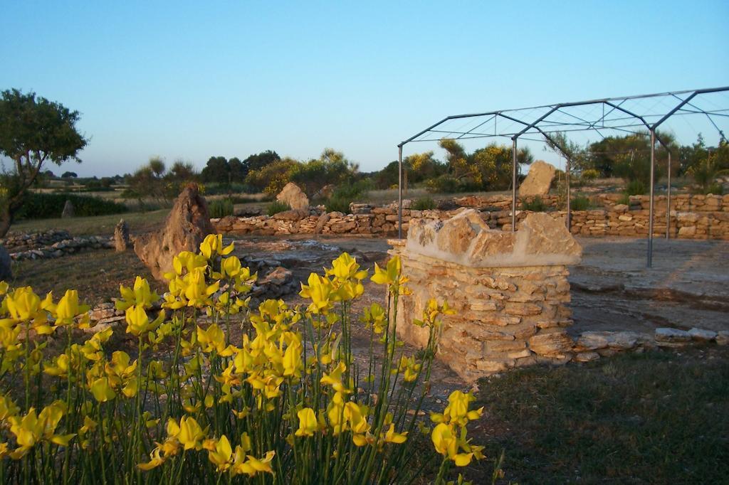 Agriturismo Il Grillo Parlante ปีติญาโน ภายนอก รูปภาพ