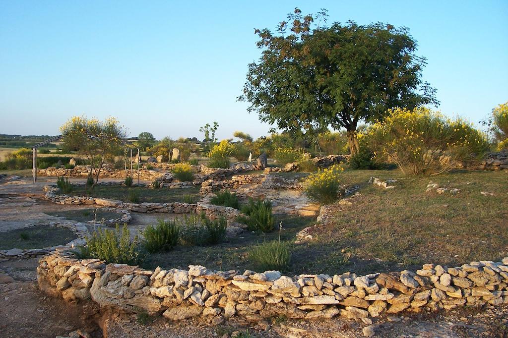 Agriturismo Il Grillo Parlante ปีติญาโน ภายนอก รูปภาพ
