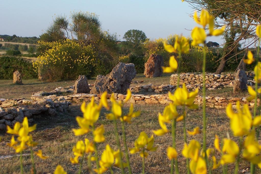 Agriturismo Il Grillo Parlante ปีติญาโน ภายนอก รูปภาพ