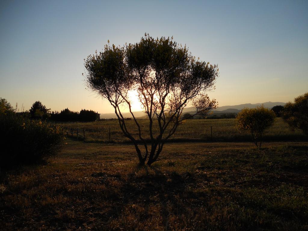 Agriturismo Il Grillo Parlante ปีติญาโน ภายนอก รูปภาพ