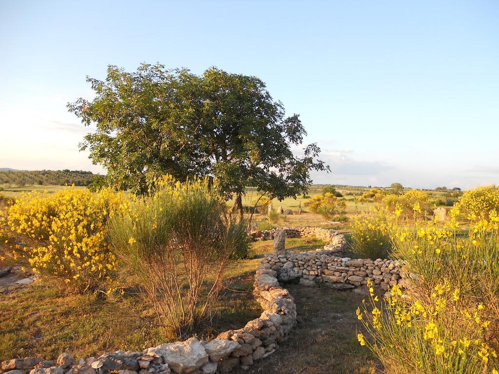 Agriturismo Il Grillo Parlante ปีติญาโน ภายนอก รูปภาพ