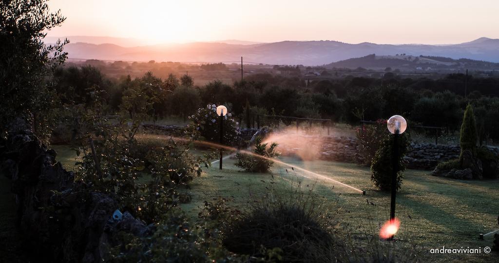 Agriturismo Il Grillo Parlante ปีติญาโน ภายนอก รูปภาพ