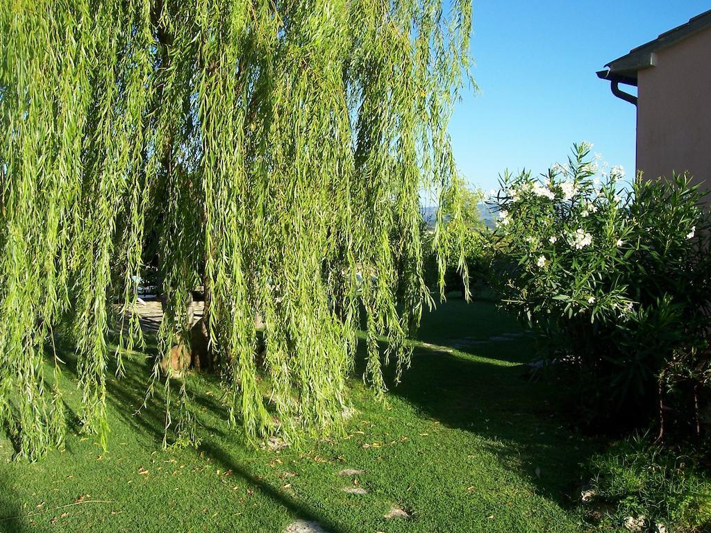 Agriturismo Il Grillo Parlante ปีติญาโน ภายนอก รูปภาพ