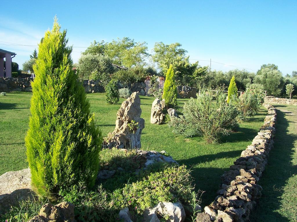 Agriturismo Il Grillo Parlante ปีติญาโน ภายนอก รูปภาพ